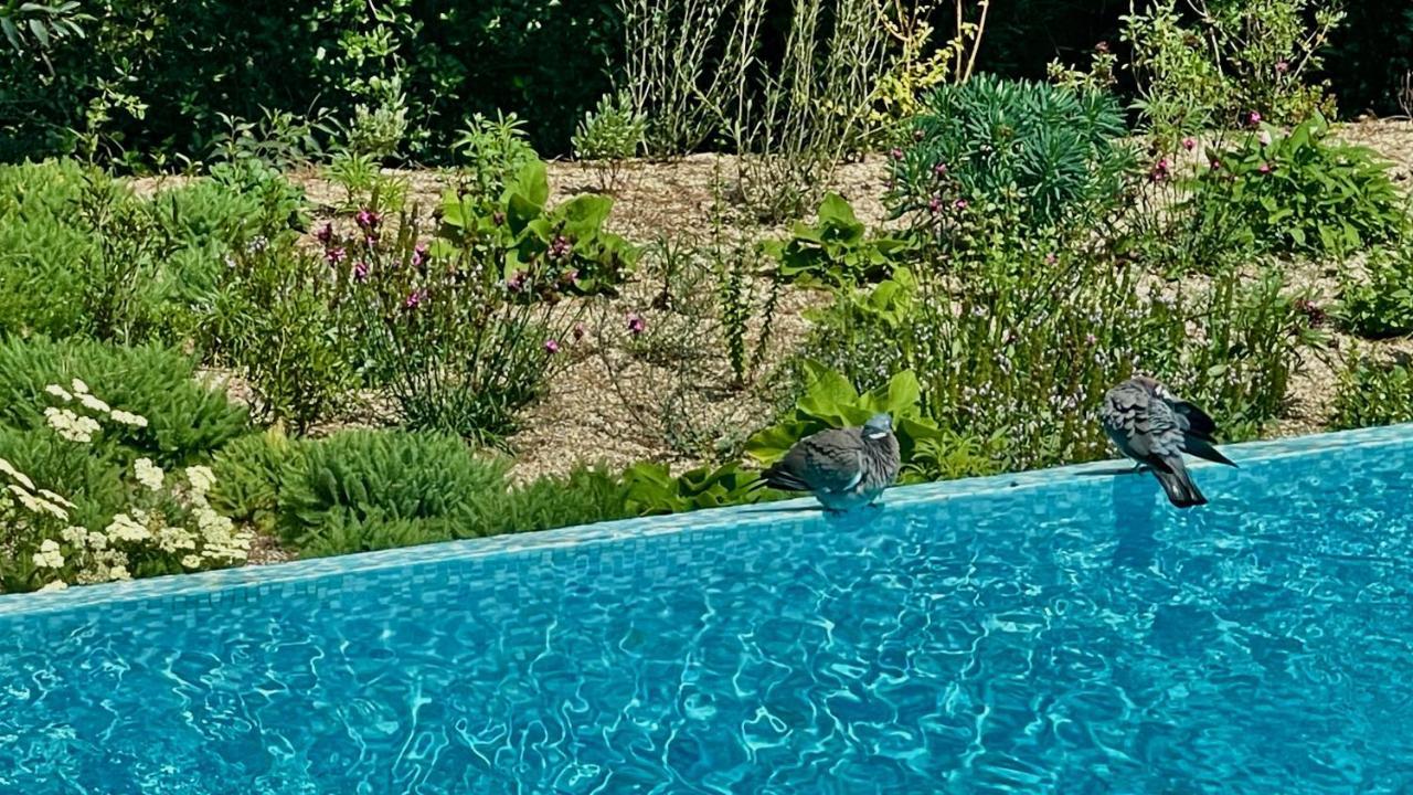 Azur Blue Villa; Rural Peace With Private Pool Peymeinade Exterior foto